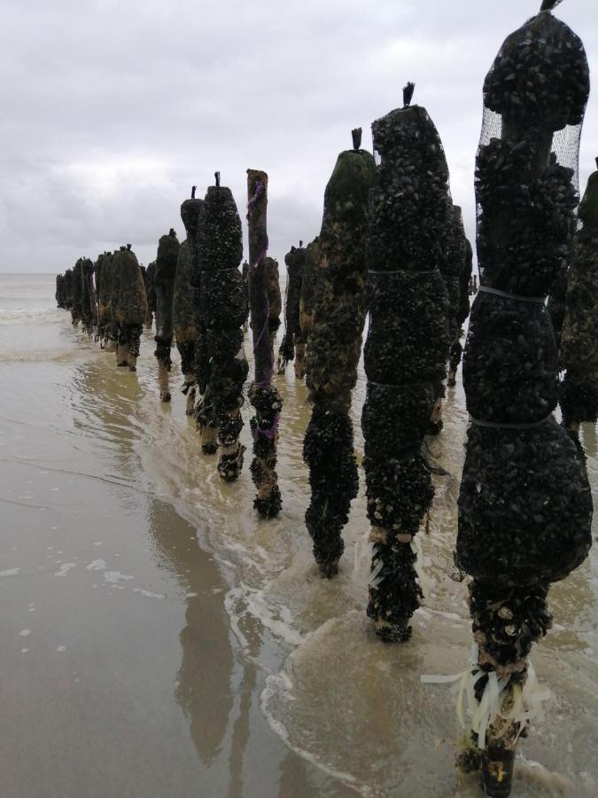 Le Cocon Des Dunes Quend Eksteriør bilde
